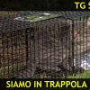 21 ottobre tg