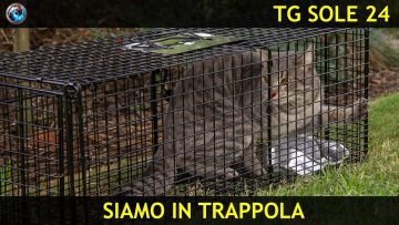 21 ottobre tg