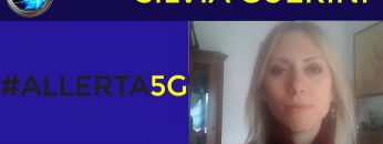 guerini