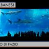 acquario fazio