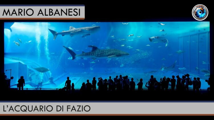 acquario fazio