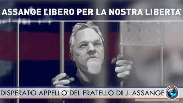 fratello assange