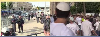 Casa-del-sole-pubblicazioni-17