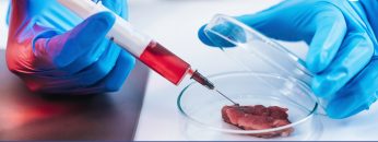 USA, al via la produzione di carne sintetica su larga scala