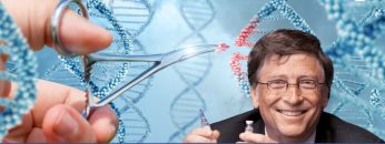 Brevetti ed editing genetico, il mondo secondo Gates