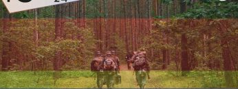 La Germania va alla guerra