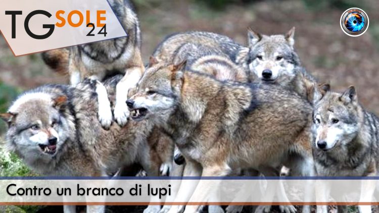 TgSole24_COPERTINA_20220913