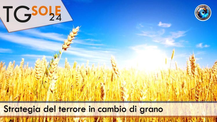 TgSole24_COPERTINA_20221031