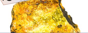 TgSole24_COPERTINA_20221111