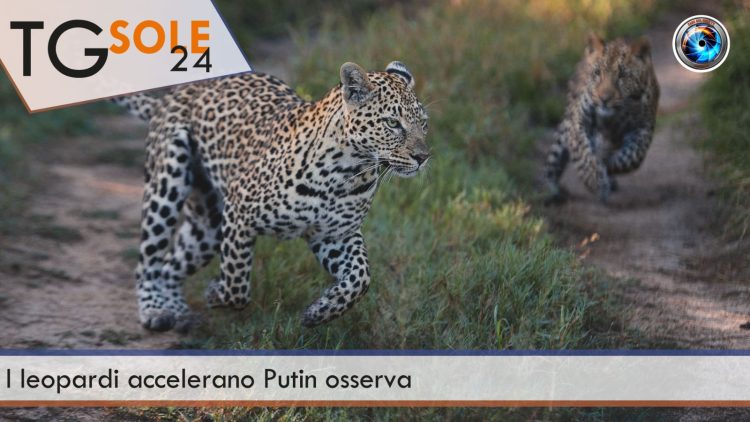 TgSole24_COPERTINA_20230125