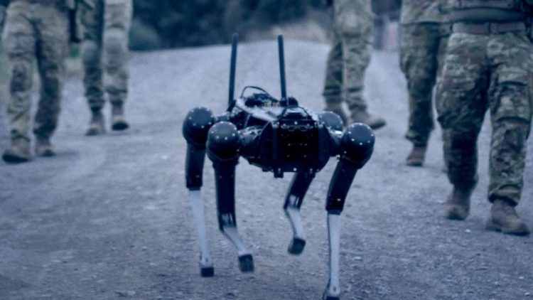 Robocane