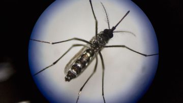 103849591-GettyImages-543392364