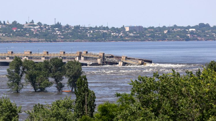TASS_59653975