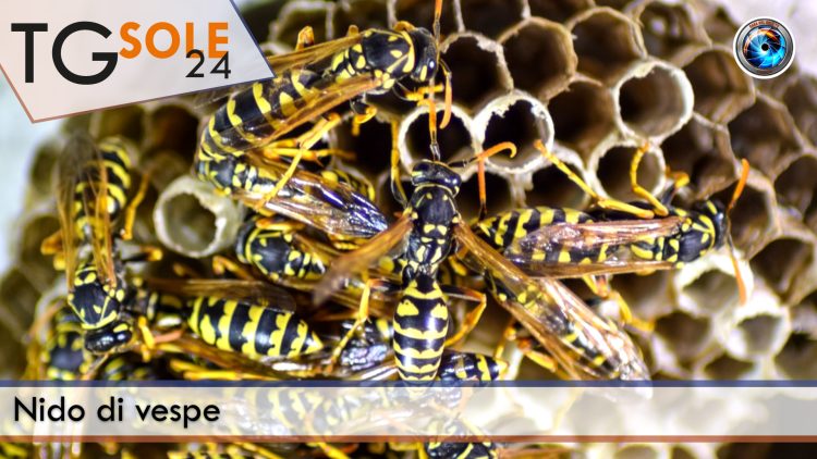 TgSole24_COPERTINA_20230601