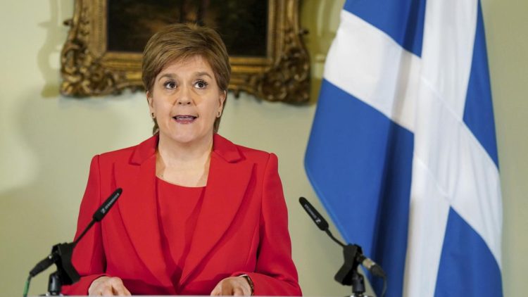 sturgeon