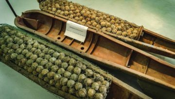 144037833-72a4d929-f2a7-415a-a489-352e7c478a37