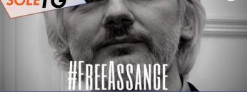 assang oggi