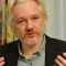 assange-900×538