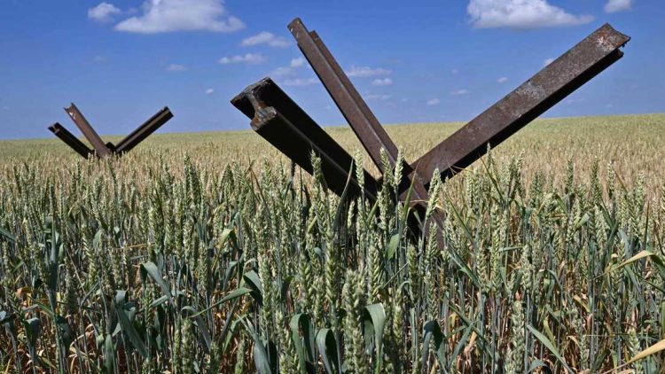 TOPSHOT-UKRAINE-RUSSIA-CONFLICT