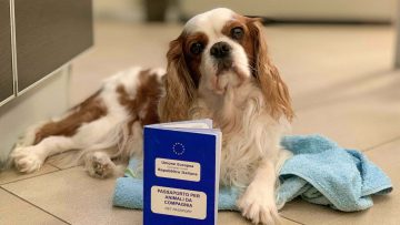 passaporto-del-cane