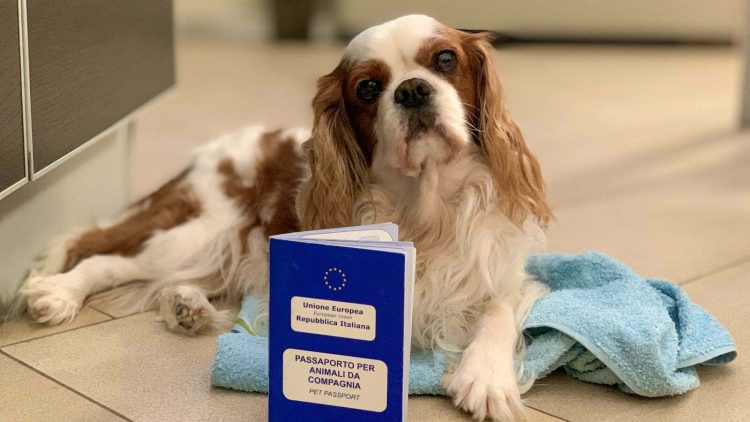passaporto-del-cane