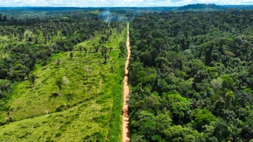 foresta-amazzonica-deforestazione-brasile