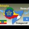 Etiopia, prossimo conflitto
