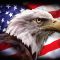 american-eagle-flag-3×5-30__51295
