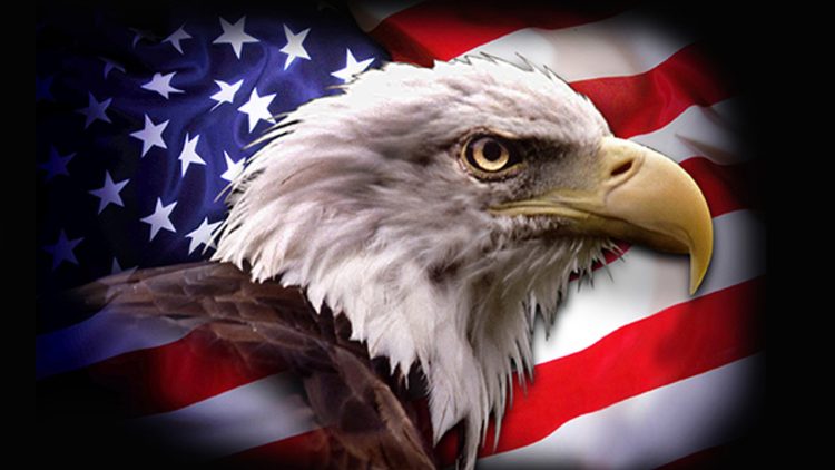 american-eagle-flag-3×5-30__51295