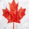canadaflagbinarycode_1161x653-800×450
