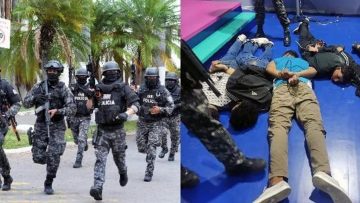 Ecuador lotta alla mafia o guerra fra mafie