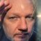 Assange la legge è uguale per tutti