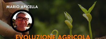 ITW_COPERTINA_20240423_01