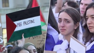 USA, studenti sul piede di guerra contro Israele