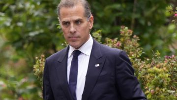 Noi ragazzi dello zoo di Hunter Biden