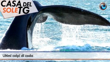 TgSole24_COPERTINA_20240717