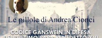COPERTINA_Andrea Cionci_09_codice Gänswein in difesa dell’ultimo Papa Benedetto XVI