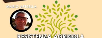 ITW_COPERTINA_20240902_01