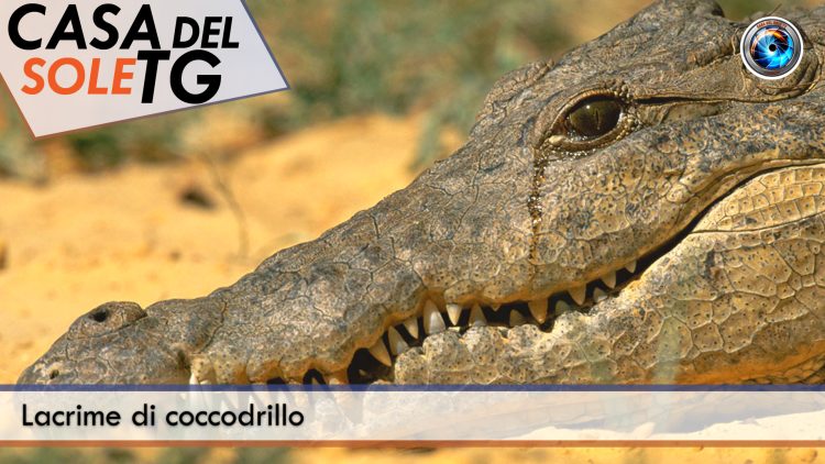 TgSole24_COPERTINA_20240906