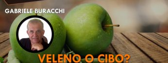 ITW_COPERTINA_20241016_01