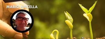 ITW_COPERTINA_20241022_01