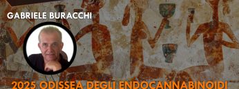 ITW_COPERTINA_20241230_01