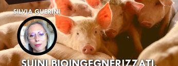 ITW_COPERTINA_20250512_01