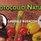 COPERTINA_Gabriele Buracchi- Protocollo Natura