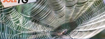 TgSole24_COPERTINA_20251016