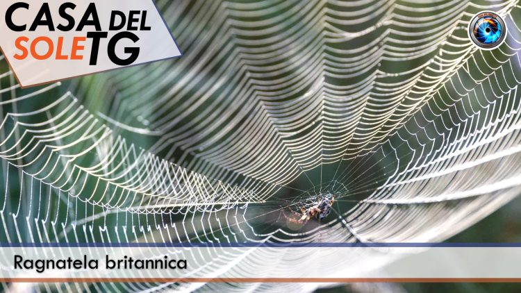 TgSole24_COPERTINA_20251016